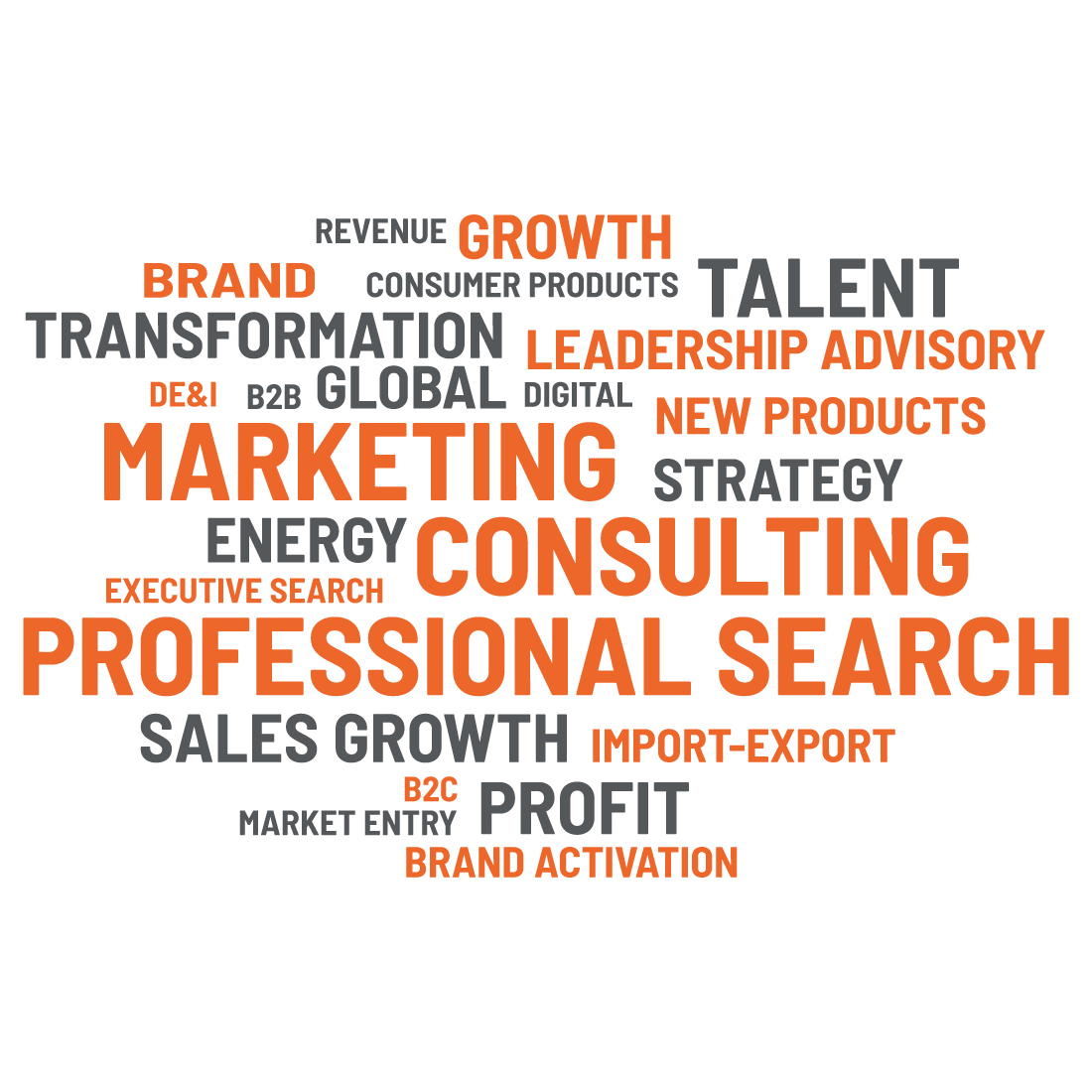 Team Saluki – What We Do Team Saluki - What We Do